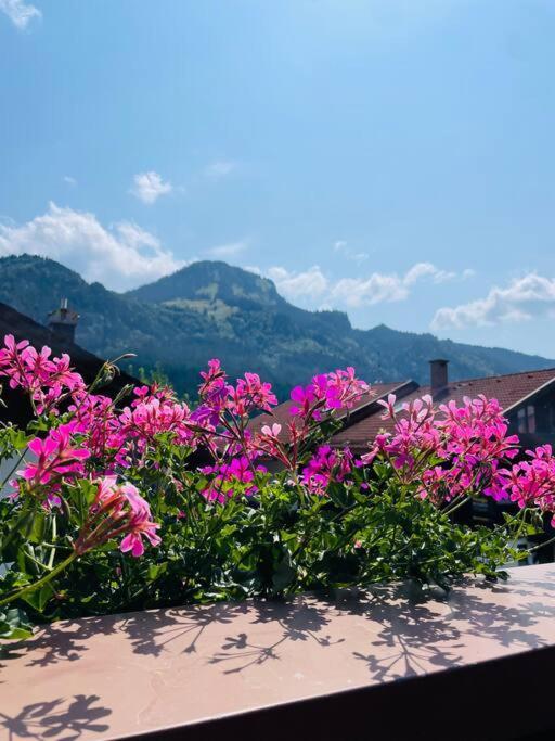 Berge, Wandern, Erholung Pur! Fewo Tinka-Haus Katja Bad Hindelang Kültér fotó