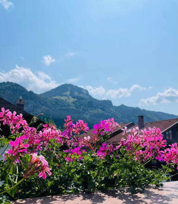 Berge, Wandern, Erholung Pur! Fewo Tinka-Haus Katja Bad Hindelang Kültér fotó